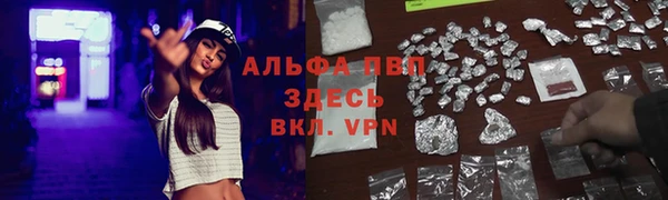 стафф Алексин