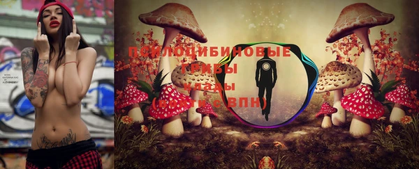 кокс Алексеевка