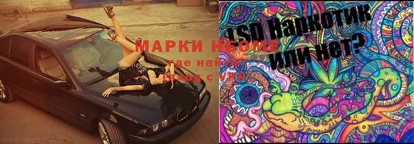 дурь Алзамай