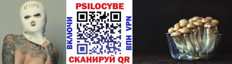 Псилоцибиновые грибы Psilocybe  как найти закладки  Нытва 